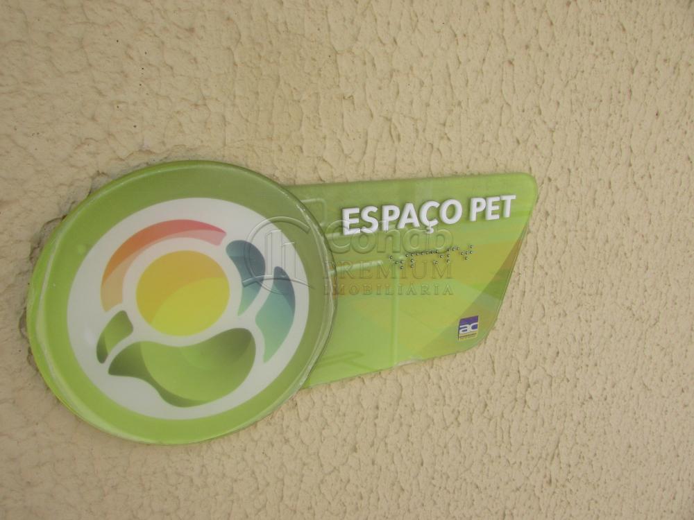 Alugar Apartamento / Padrão em São Cristóvão apenas R$ 630,00 - Foto 16 Alugar Apartamento / Padrão em São Cristóvão apenas R$ 630,00 - Foto 16
