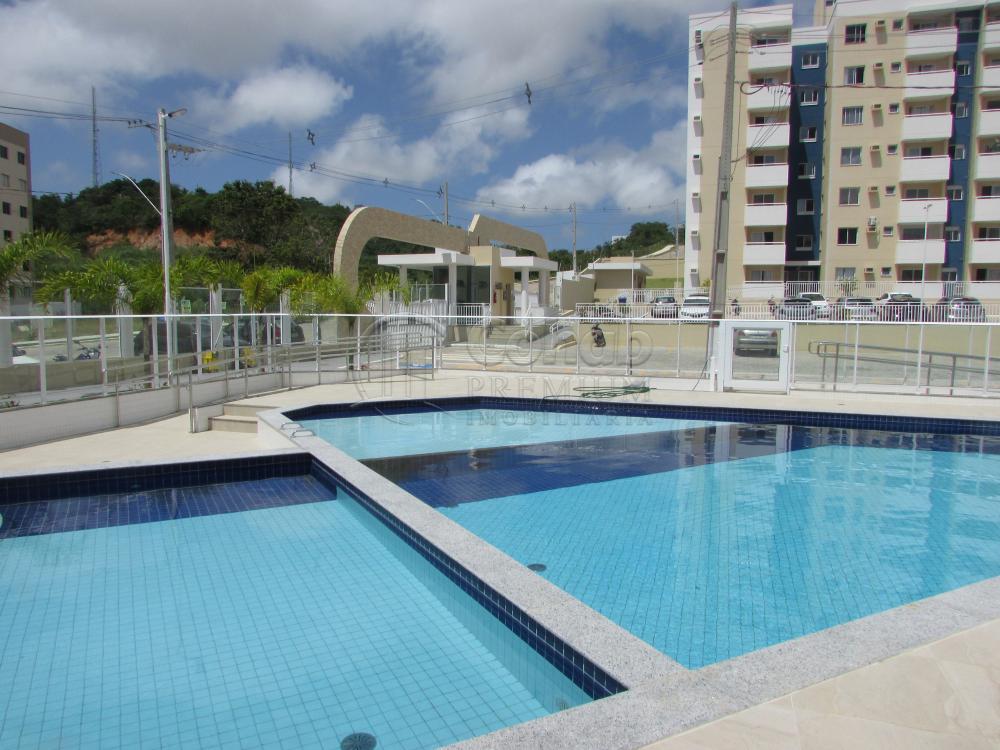 Alugar Apartamento / Padrão em São Cristóvão apenas R$ 630,00 - Foto 40 Alugar Apartamento / Padrão em São Cristóvão apenas R$ 630,00 - Foto 40