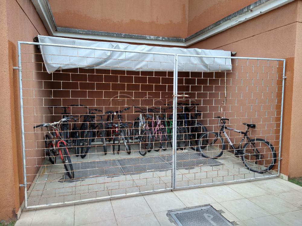 Alugar Apartamento / Padrão em Aracaju apenas R$ 780,00 - Foto 21 Alugar Apartamento / Padrão em Aracaju apenas R$ 780,00 - Foto 21