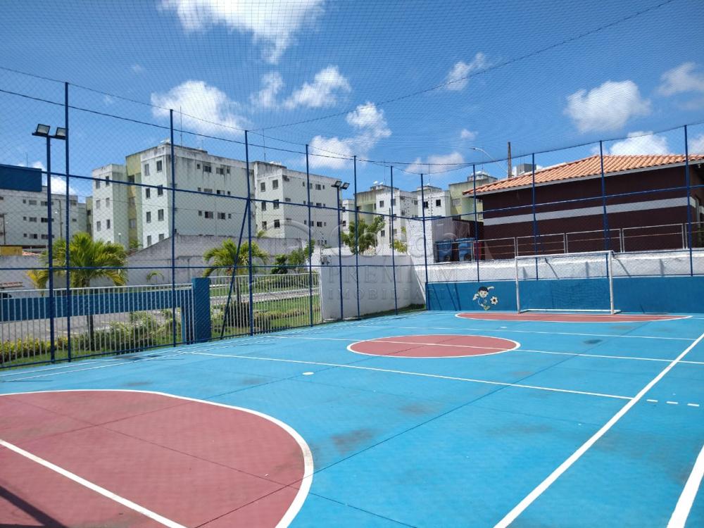 Alugar Apartamento / Padrão em São Cristóvão apenas R$ 550,00 - Foto 14 Alugar Apartamento / Padrão em São Cristóvão apenas R$ 550,00 - Foto 14