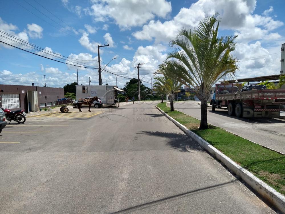Alugar Apartamento / Padrão em São Cristóvão apenas R$ 550,00 - Foto 15 Alugar Apartamento / Padrão em São Cristóvão apenas R$ 550,00 - Foto 15