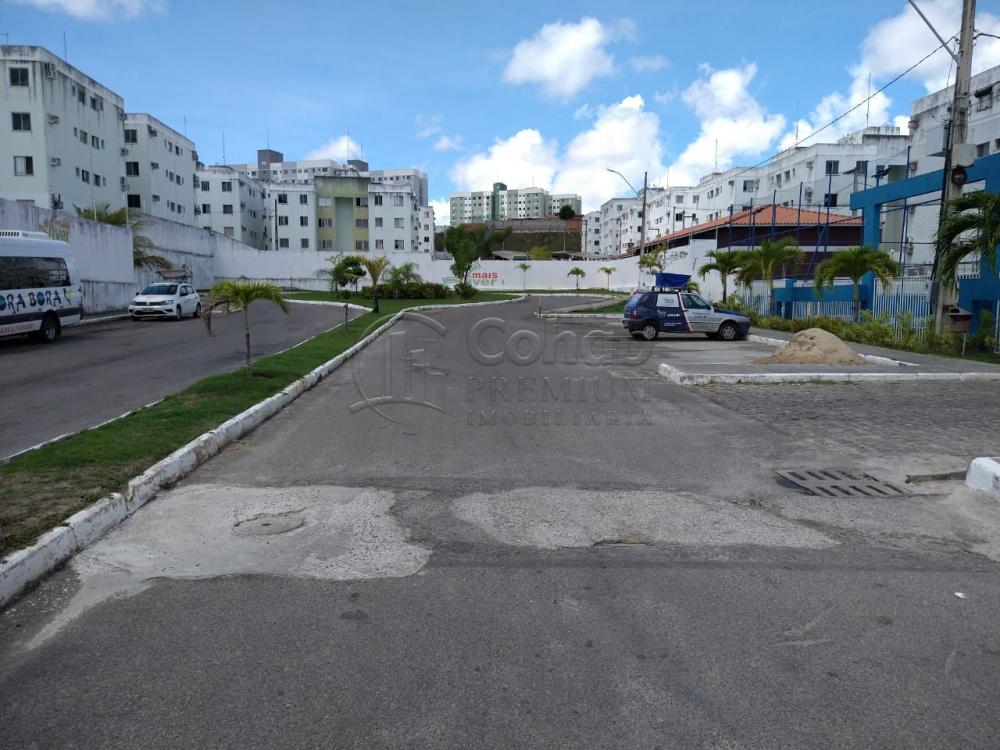 Alugar Apartamento / Padrão em São Cristóvão apenas R$ 550,00 - Foto 20 Alugar Apartamento / Padrão em São Cristóvão apenas R$ 550,00 - Foto 20