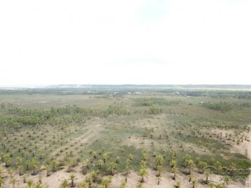 ÁREA NA BARRA DOS COQUEIROS