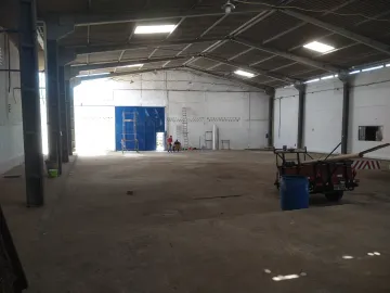 Galpão com 800m² com ótimo acesso à BR101