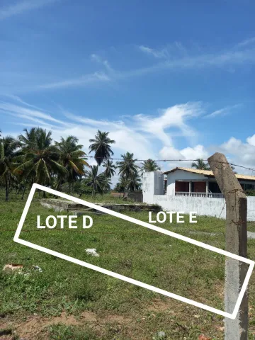 imagem 3 - Lote no Robalo imagem 3 - Lote no Robalo