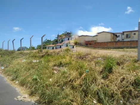 imagem 2 - Área 10.729,62 m² na rua Santa Terezinha, Bairro Cidade Nova imagem 2 - Área 10.729,62 m² na rua Santa Terezinha, Bairro Cidade Nova