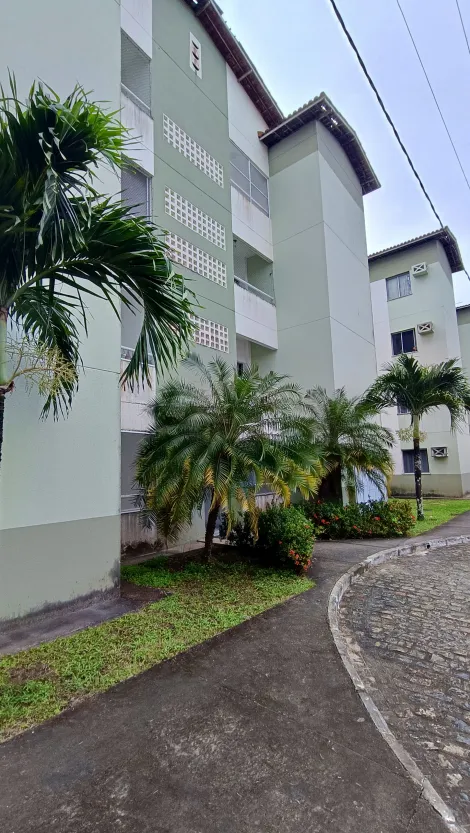 imagem 1 - Apto do Cond. Res dos Pássaros I imagem 1 - Apto do Cond. Res dos Pássaros I