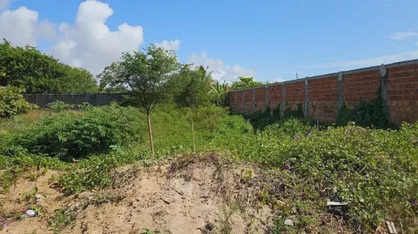 imagem 2 - Terreno à Venda na Zona de Expansão no Robalo imagem 2 - Terreno à Venda na Zona de Expansão no Robalo