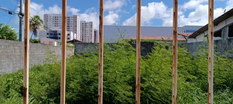 imagem 4 - AMPLO TERRENO À VENDA NA ATALAIA COM LOCALIZAÇÃO PRIVILEGIADA imagem 4 - AMPLO TERRENO À VENDA NA ATALAIA COM LOCALIZAÇÃO PRIVILEGIADA