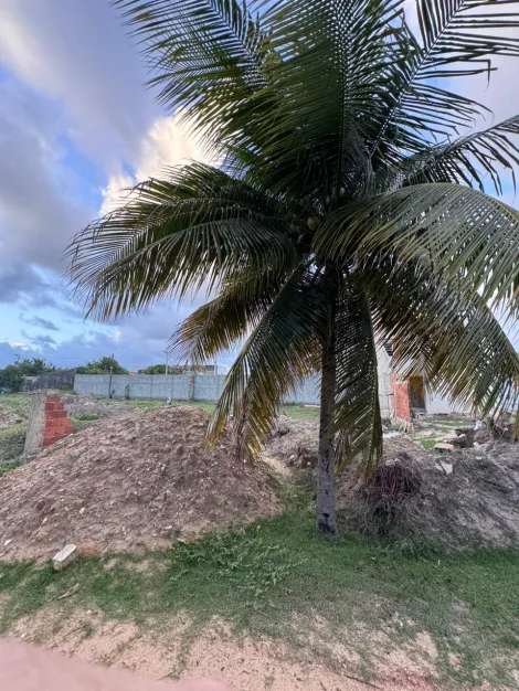 imagem 2 - Lote à Venda de 250m² Posição Leste/Norte imagem 2 - Lote à Venda de 250m² Posição Leste/Norte