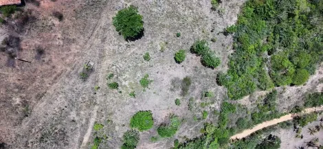 imagem 4 - Excelente Oportunidade para Investidores: Terreno de Grande Porte no Sítio Cabrita, São Cristóvão/SE imagem 4 - Excelente Oportunidade para Investidores: Terreno de Grande Porte no Sítio Cabrita, São Cristóvão/SE