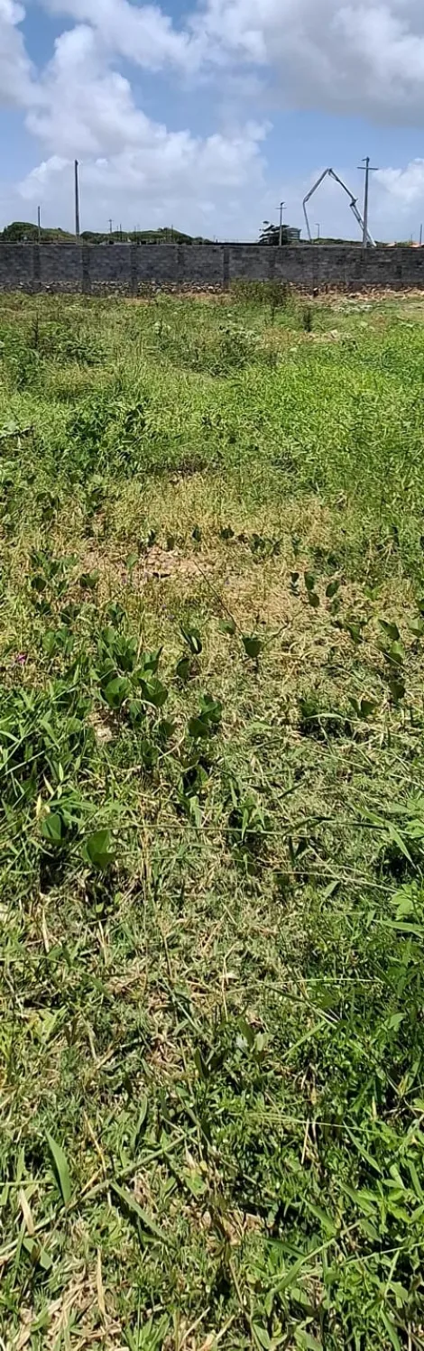 imagem 1 - Terreno de 600m² no Bairro Mosqueiro: O Espaço Ideal para a Casa dos Seus Sonhos! imagem 1 - Terreno de 600m² no Bairro Mosqueiro: O Espaço Ideal para a Casa dos Seus Sonhos!